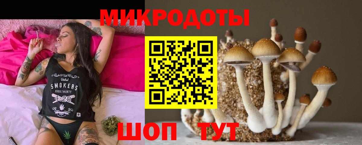 Галлюциногенные грибы Psilocybine cubensis  Вход с VPN  Артём 